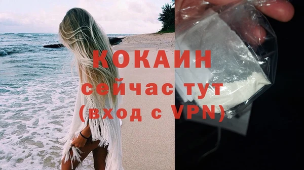 сатива Белоозёрский