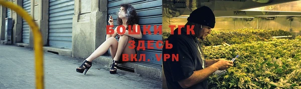 сатива Белоозёрский